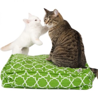 Katzenkissen-Bezug zum Selberfüllen Koh Mak