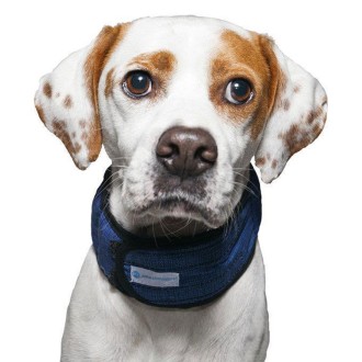 Aqua Coolkeeper Kühlhalsband Blue Pacific