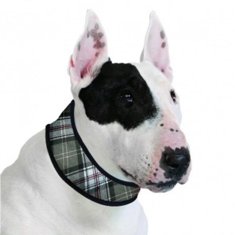 Aqua Coolkeeper Kühlhalsband Scottish Grey