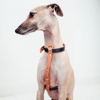 Exklusives Hundegeschirr Leder Milano Navy