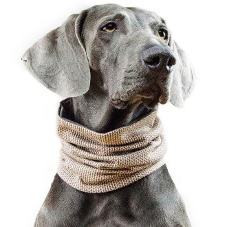 Hundeschal Hunde Doggyloop SCHIKOBELLO Creme