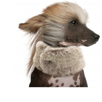 Milk & Pepper Snood KIRILL Kuschelfell beige für Hunde