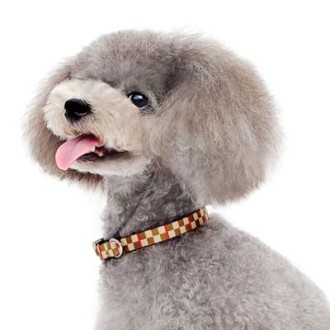 Nylon-Hundehalsband Checker Brown