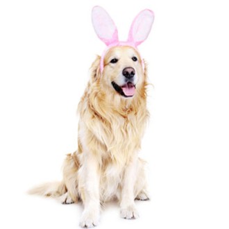 Oster-Überraschungspaket für Hunde