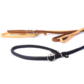 Showleine für mittelgroße und große Hunde in 5 Farben