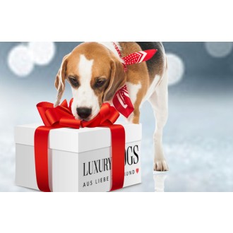 Weihnachts-Überraschungsboxen für Hunde