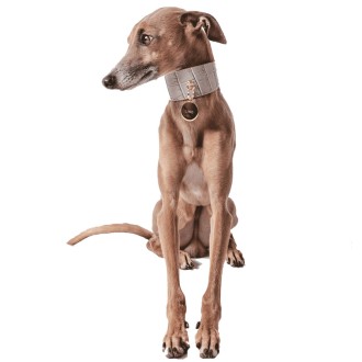 Windhundhalsband Milano mit Krokoprägung Leder steingrau