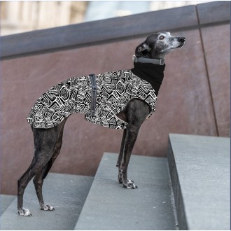 Gefütterter Whippetmantel Graphic