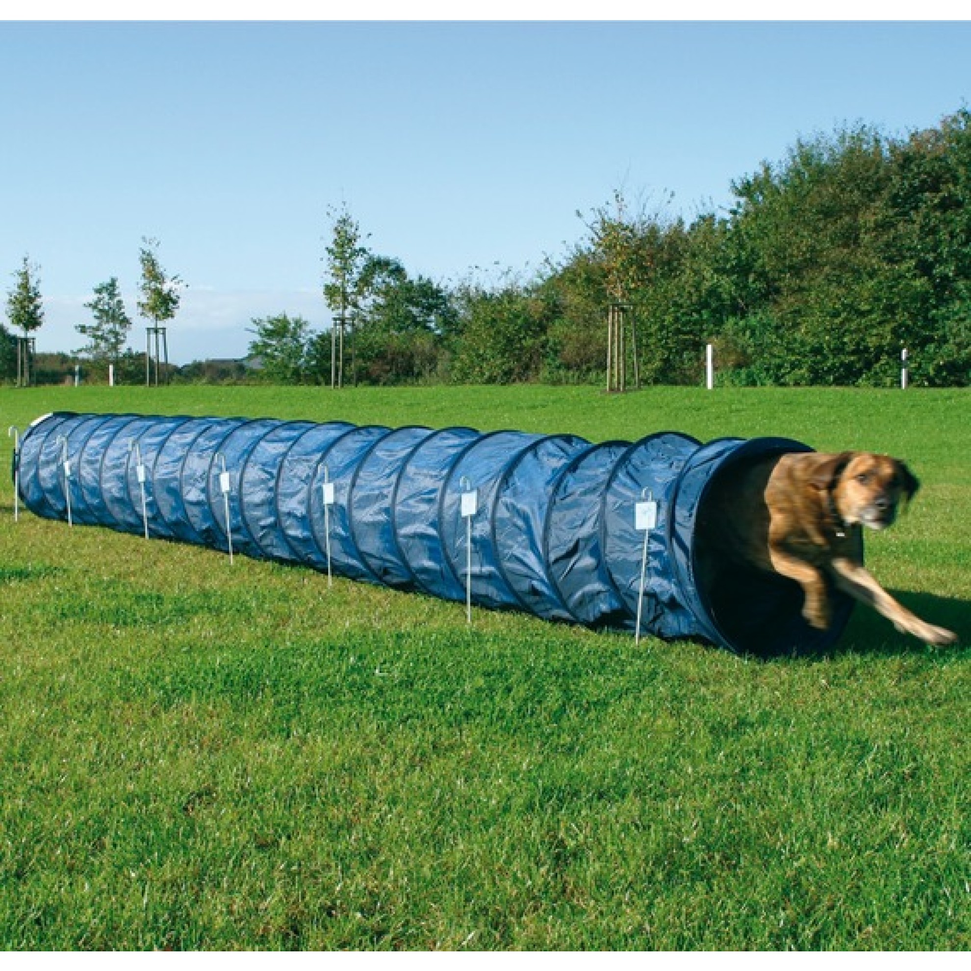 Agility Basic Tunnel
