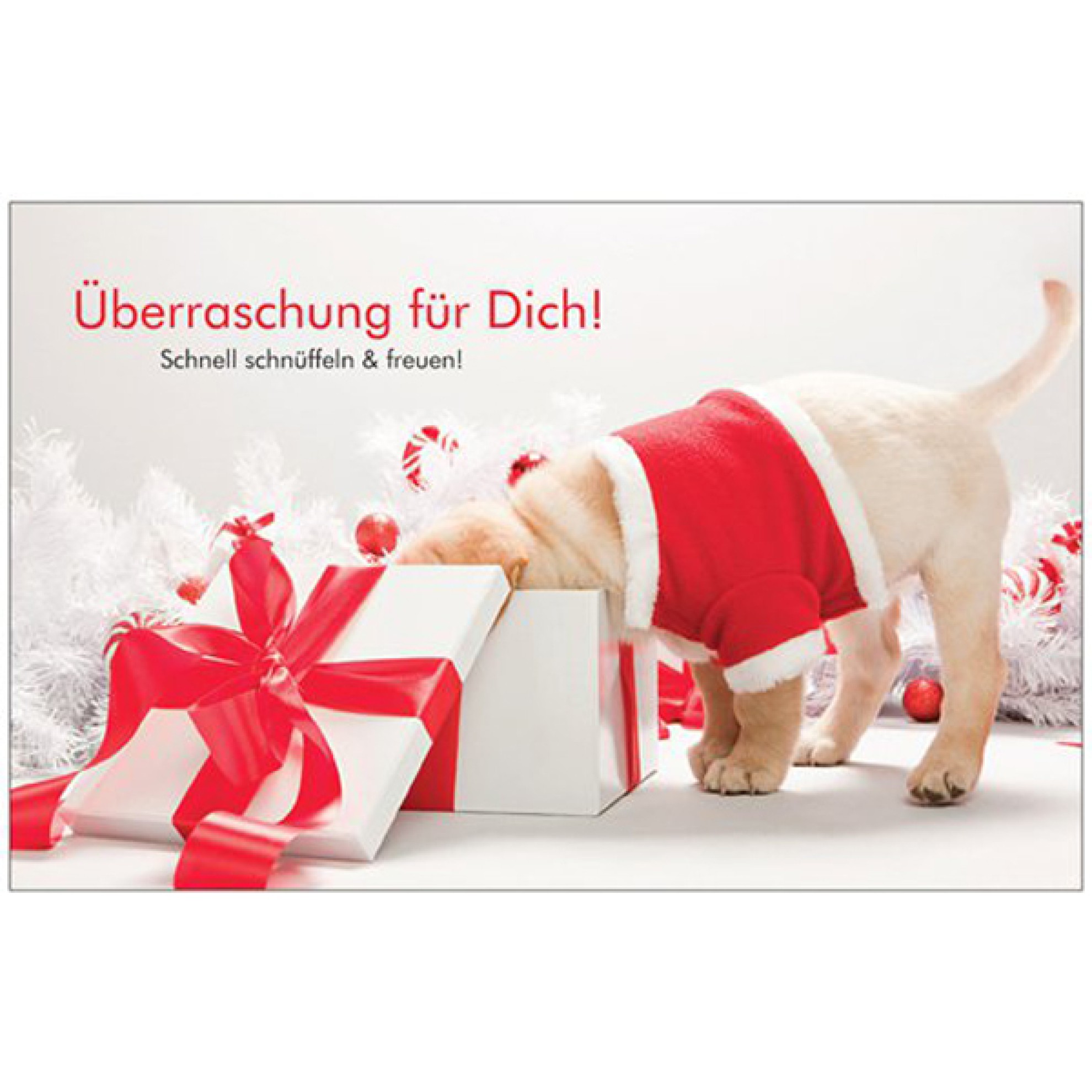 WeihnachtsÜberraschungsbox für große Hunde, Weihnachts