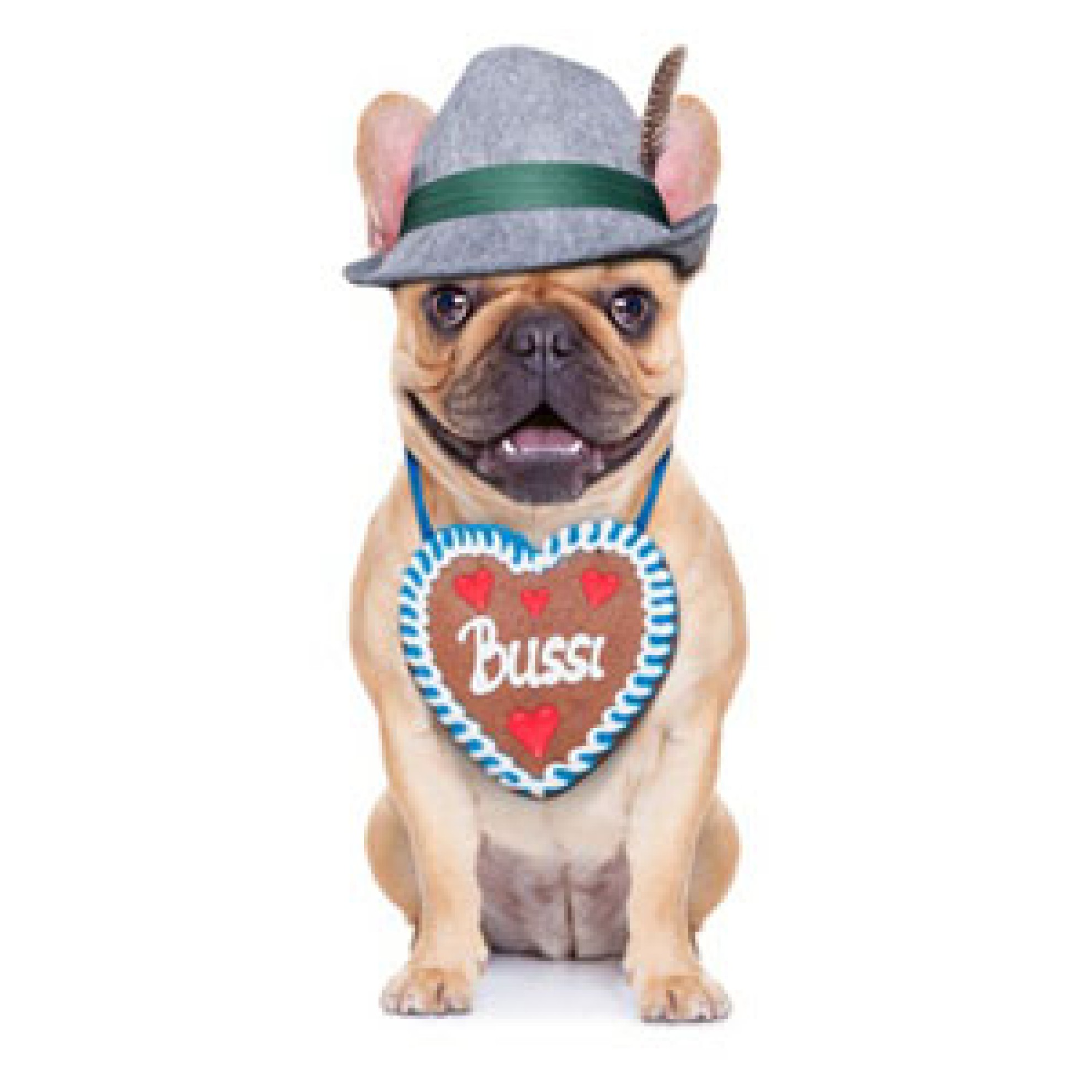 Wiesn HundeÜberraschungsbox OKTOBERFEST, OktoberfestHundeZubehör kaufen