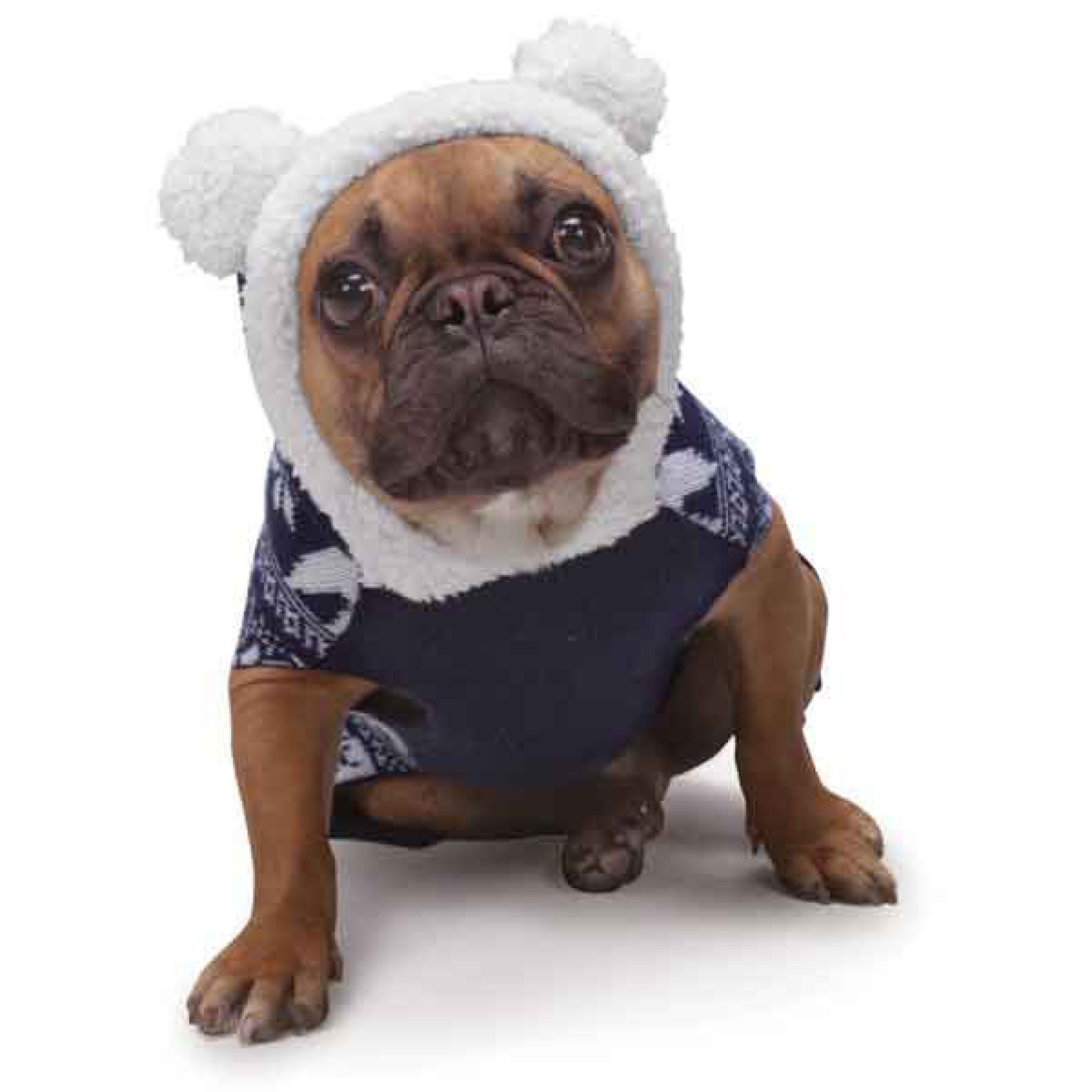 WinterHundepullover Polar für kleine bis mittelgroße Hunde online kaufen