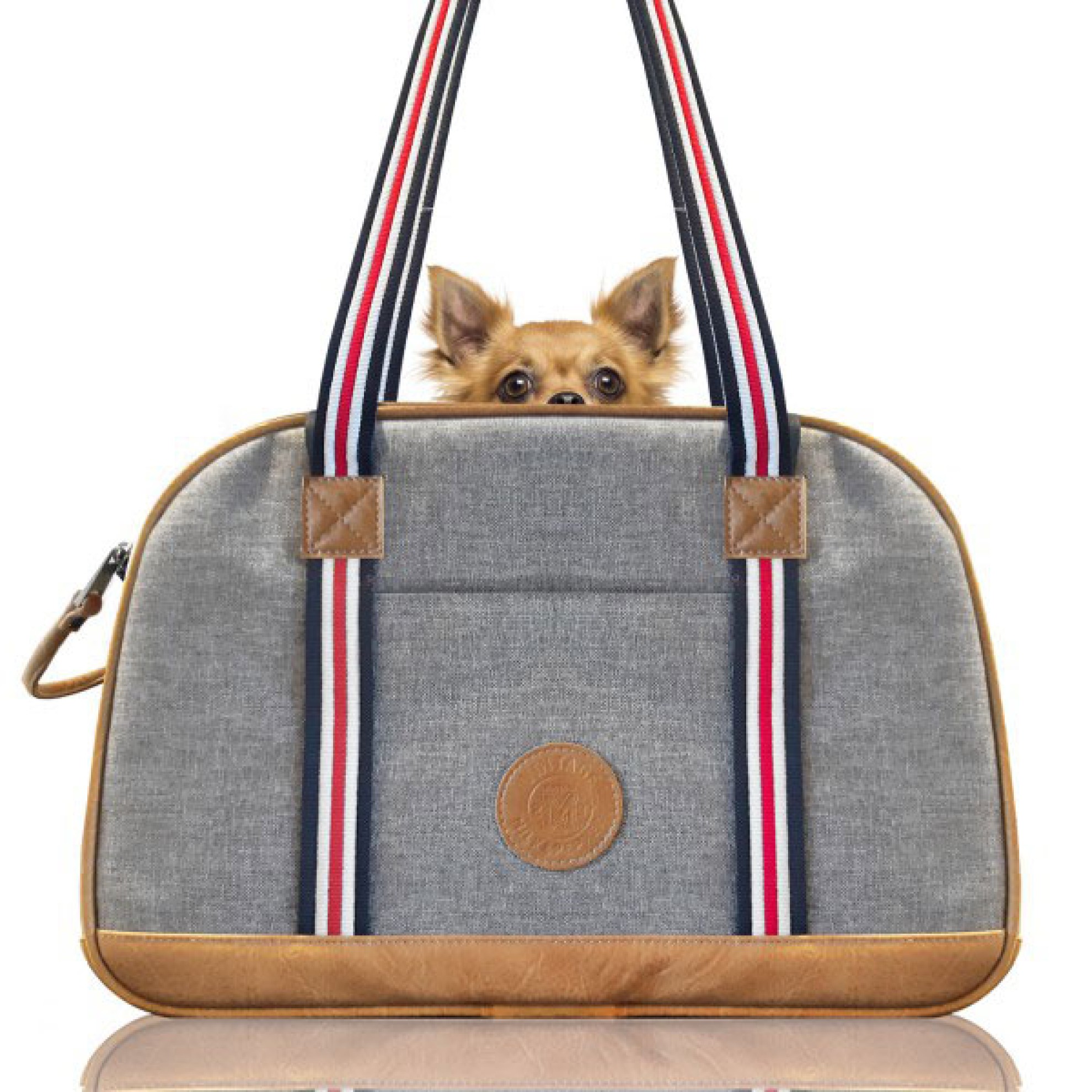 Milk And Pepper Dog Carrier at June Carter blog