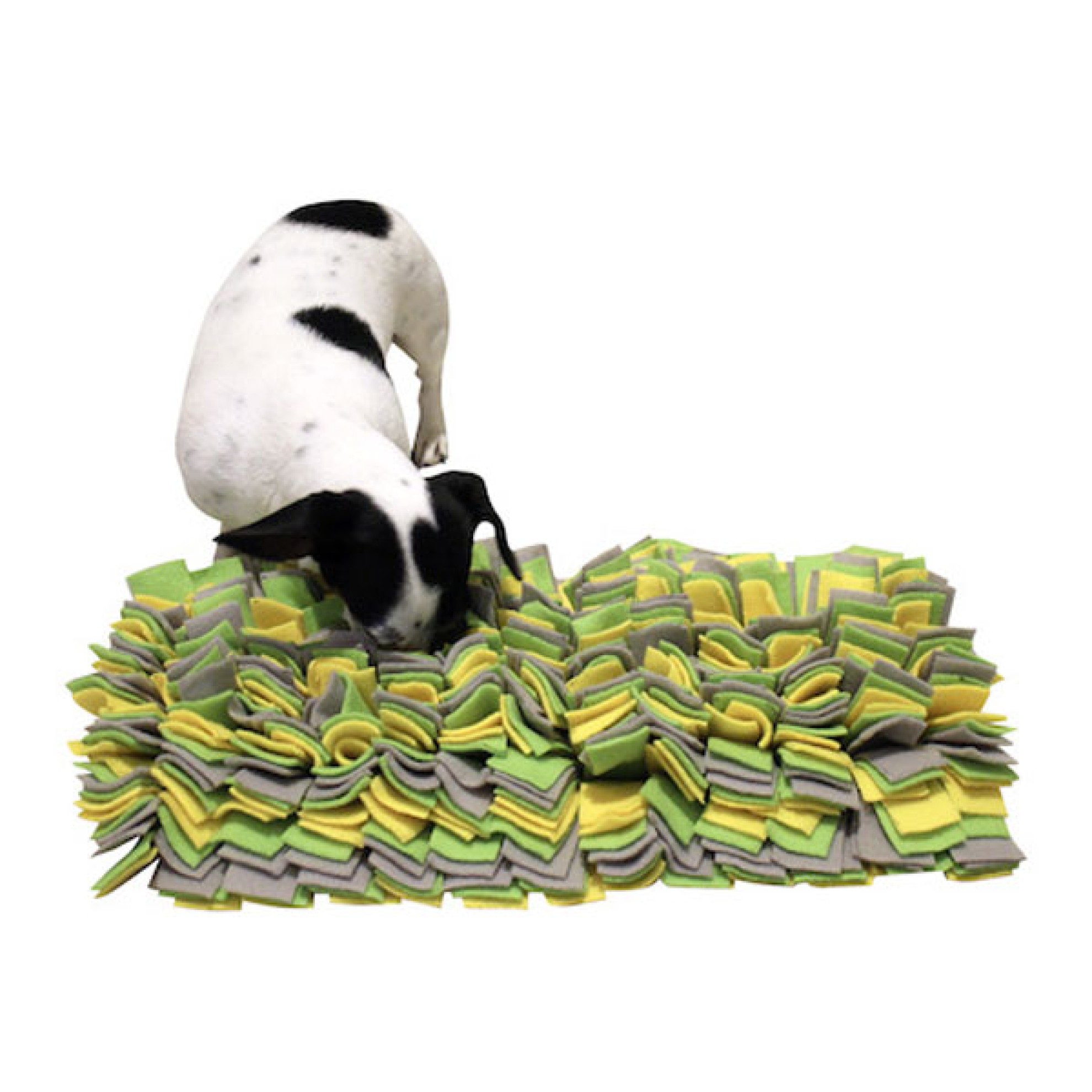 Schnüffelteppich, Schnüffeldecke für Hunde in zwei Grössen online kaufen