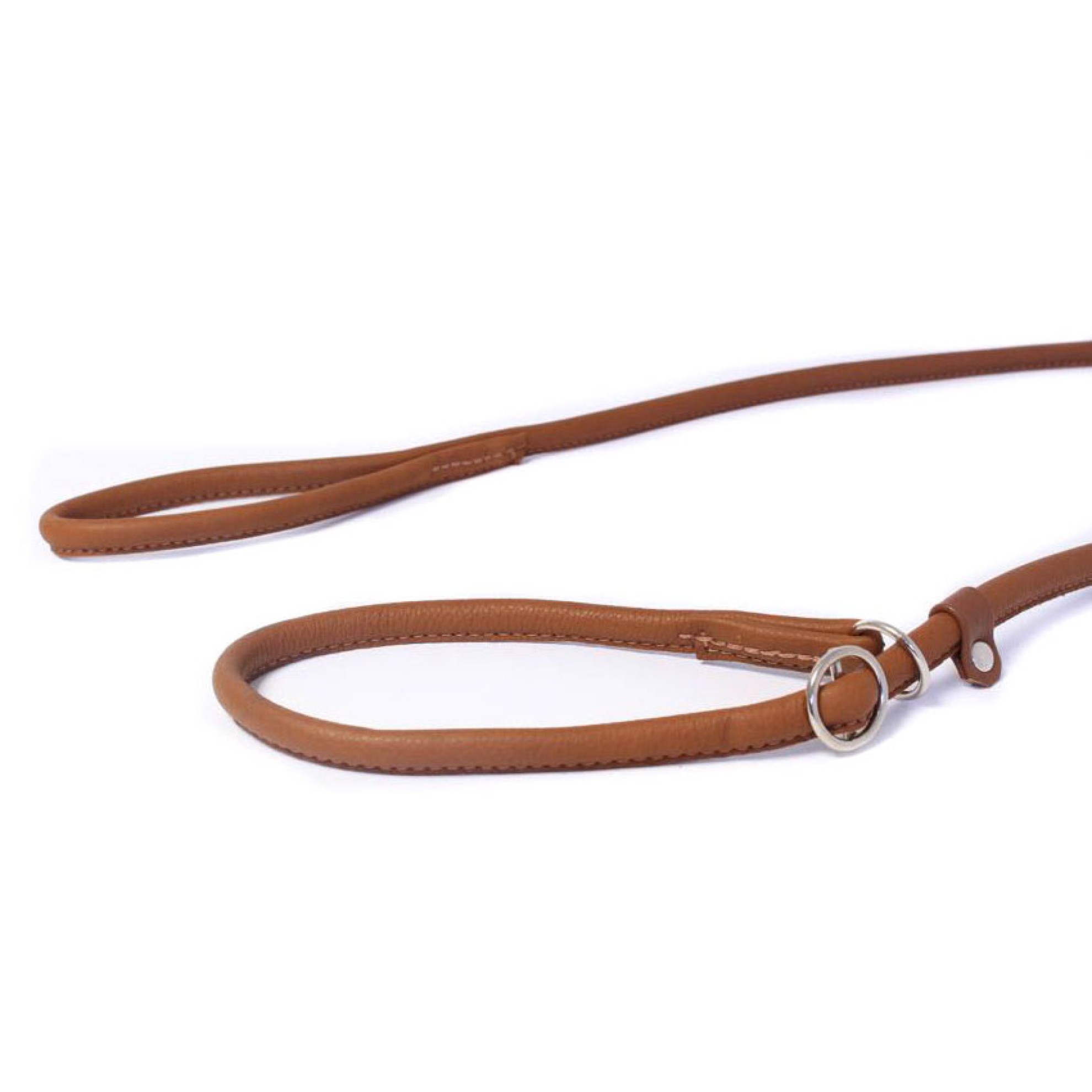 Showleine für mittelgroße und große Hunde in 3 Farben online kaufen