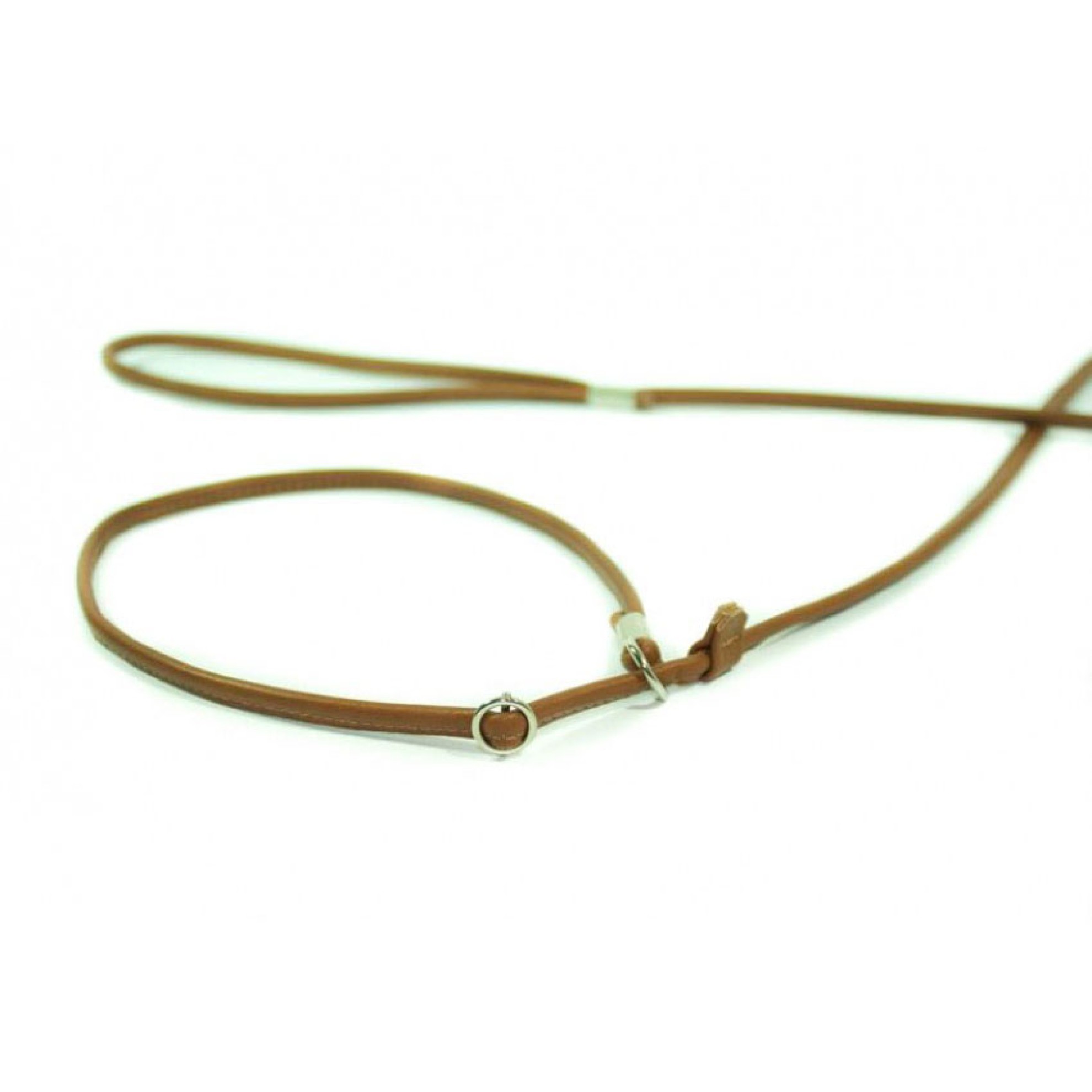 Showleine für kleine bis mittelgroße Hunde in 5 Farben online kaufen