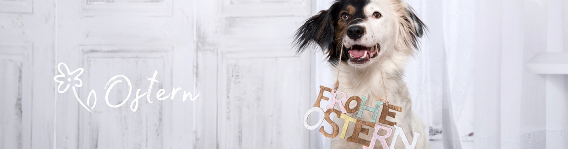 neues Silderelement 2