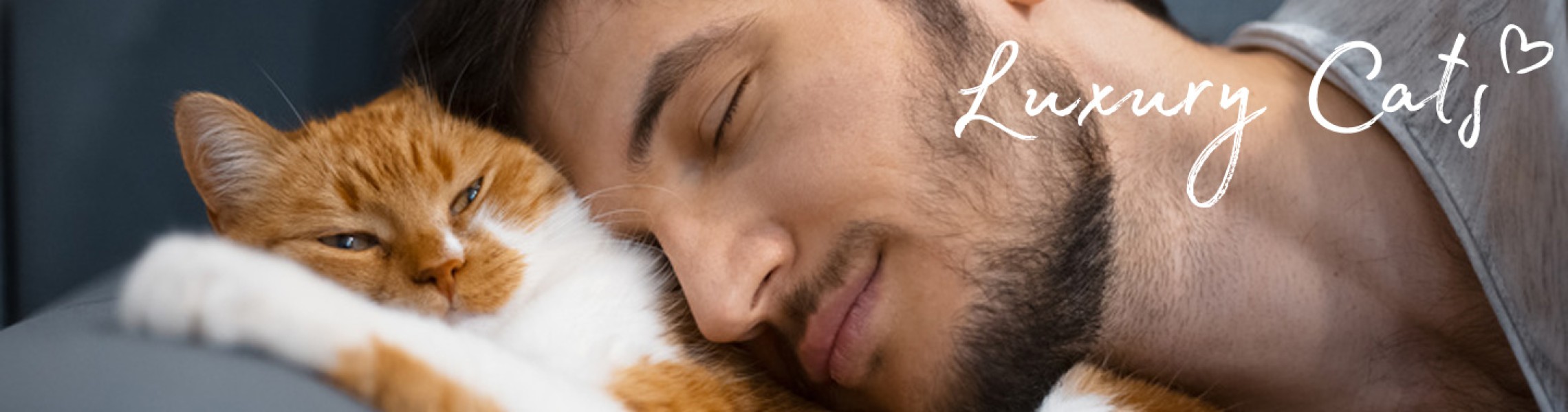 Katzenartikel Katzenartikel