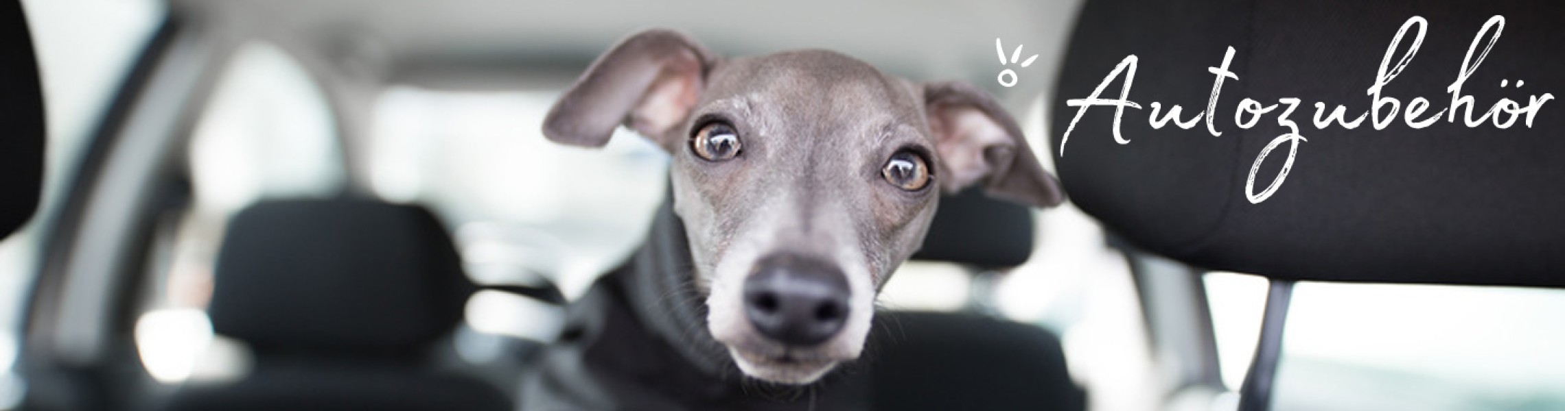 Hundezubehor Fur Die Autoreise Auto Hundezubehor Gunstig Online Kaufen