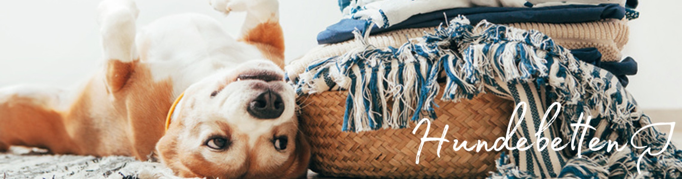 Hundebetten