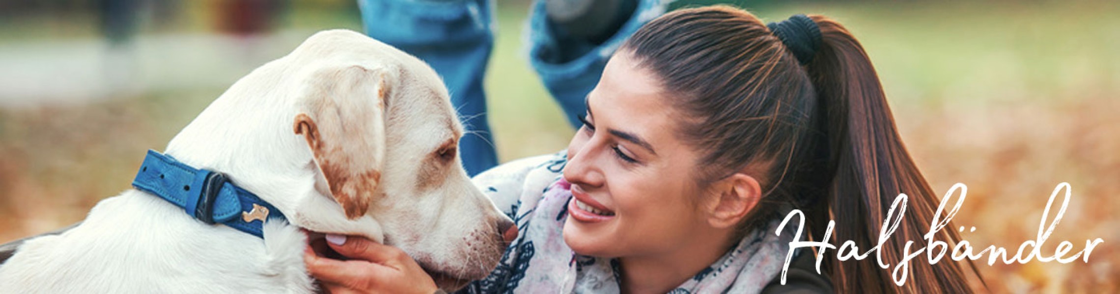 Hundehalsbänder