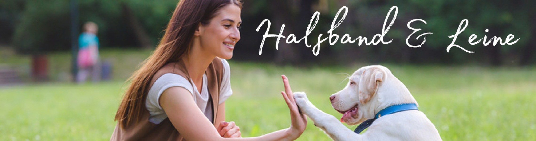 Hundehalsband und Hundeleine Hundehalsband und Hundeleine