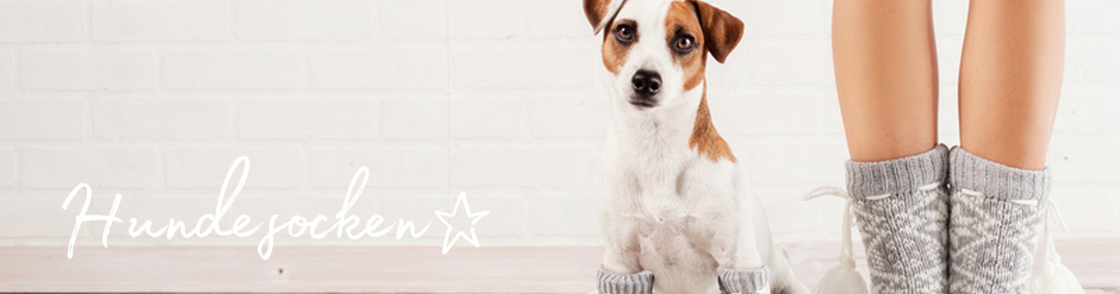 Hundesocken